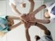 Equipe de soignant formée au handicap psychique